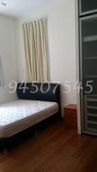Robertson 100 (D9), Apartment #99810412